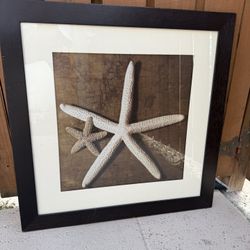 Starfish Framed Print