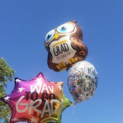 Graduation Balloons 