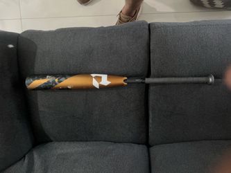 Bat