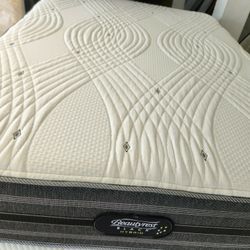 Mattress And Box Spring Size Queen 