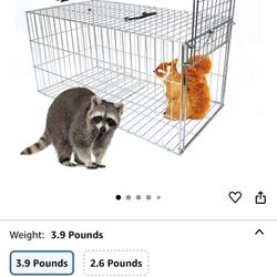 New Animal Trap