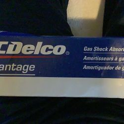 AC Delco Gas shocks. 