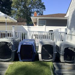 Dog Crates