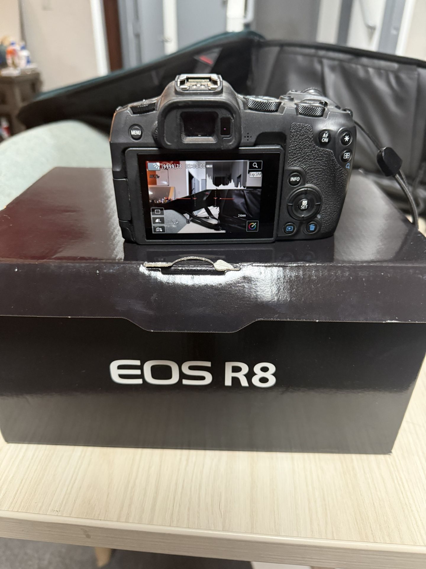 Canon R8 With 3 Lenses