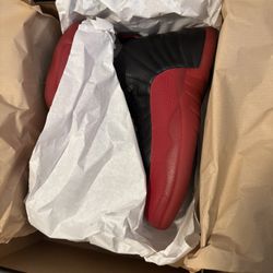 Nike Air Jordan 12 Flu Game