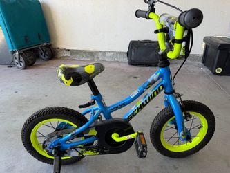 Schwinn Valve Kids bike