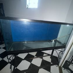 Fish Tank