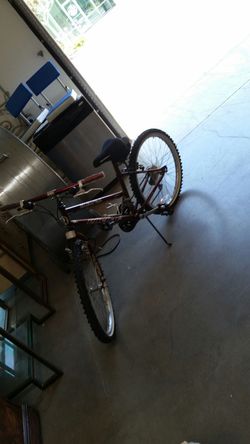 Bike 65