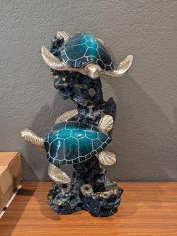 Turtle Display