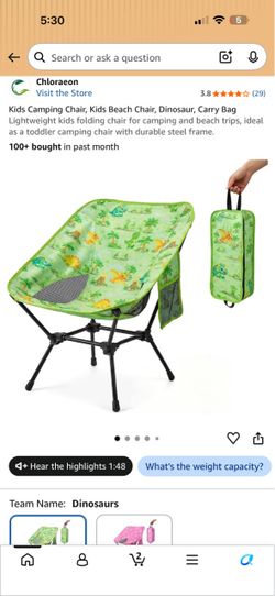 New Dinosaur Kids Camping Chair