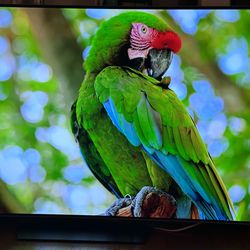 65” TV w/ remote