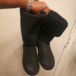 New Condtn Nvr Worn Sz8 Uggs Pet Dmk Free