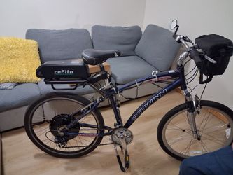 Schwinn E bike