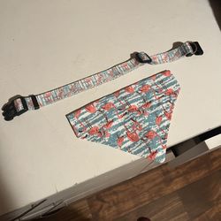 Leash, Collar, Bandanna 