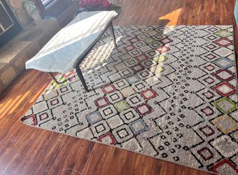 Multi Color Area Rug 