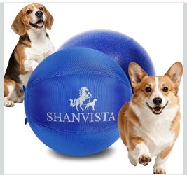 Herding Ball for Dogs
