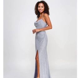 Silver Sparkle Formal Gown