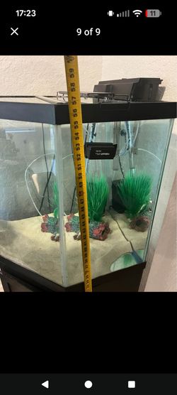 Glass Fish Tank Aquarium with Filter and Decor