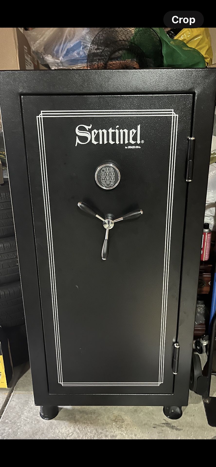 Sentinel Gun Safe 