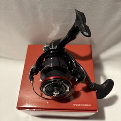 daiwa Spinning Reel and  Phenix Rod 