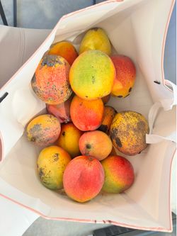 Mangoes