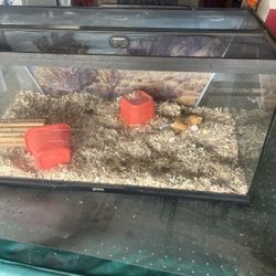 Aquarium