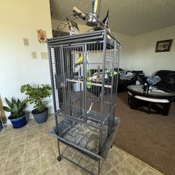 parrot yellow cage and parrot 2 pieces