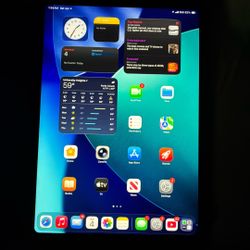 Apple With Cellar iPad  A16 