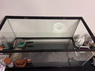 55 gallon terrarium