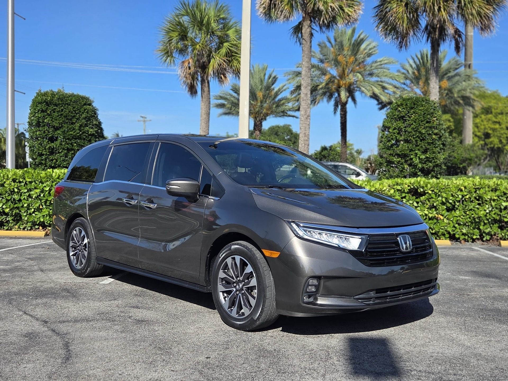 2019 Honda Odyssey