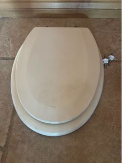Oval toilet seat w/ ORB hinges