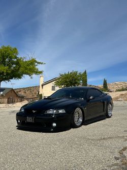 2003 Mach 1