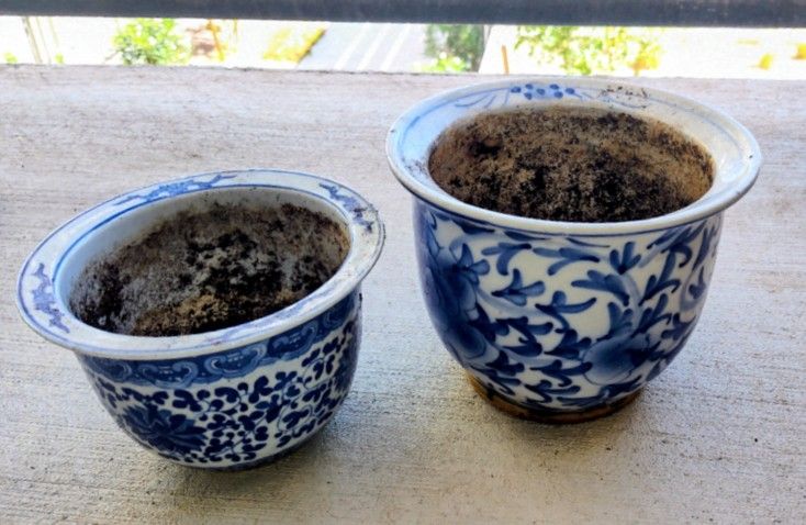 Set of 2 Blue and White Ceramic Planters