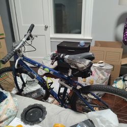 A Real Vintage Raleigh Bike Bicycle In Perfect Riding Condition