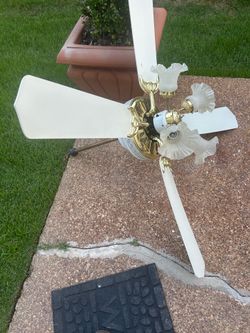 Ceiling fan