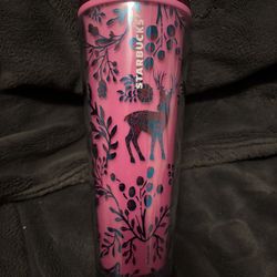 Starbucks Cups 