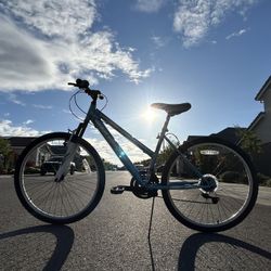 Amazingly Made Huffy Bike For (Cheap)