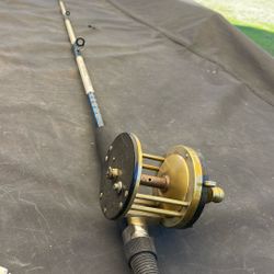 Deep Sea Set Up 6,5 Ft Pole And Pflueger Reel