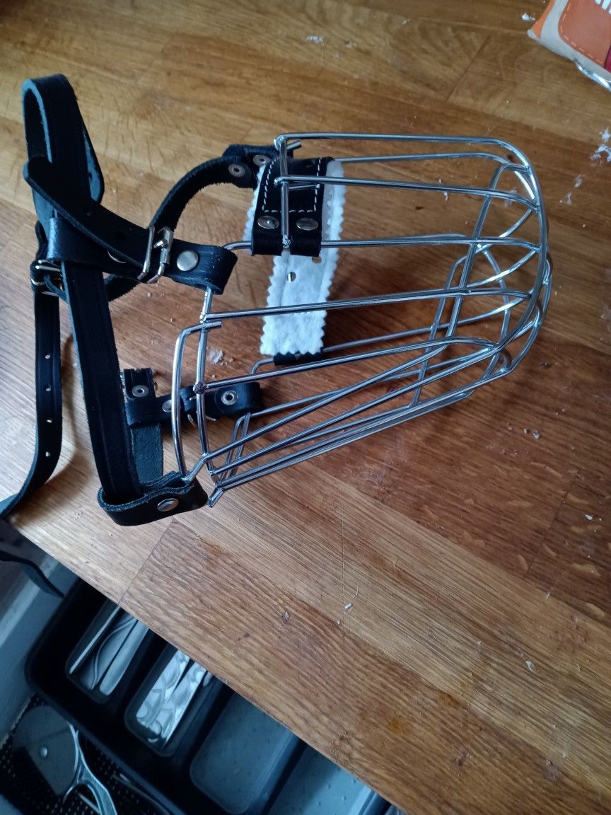 Dog Muzzle 