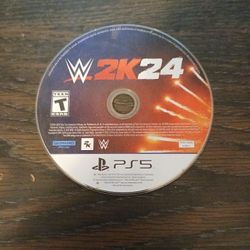 WWE 2k24