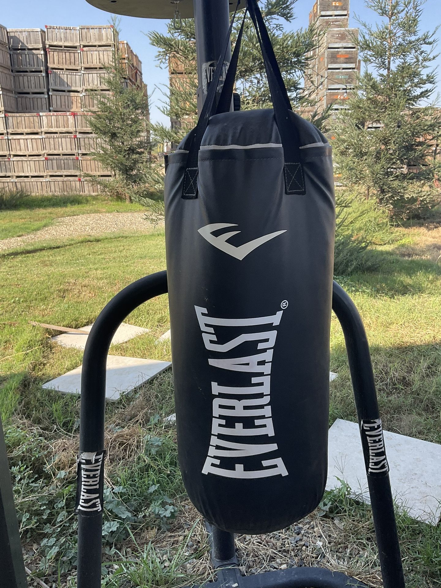 Everlast Dual Station Heavy Bag And Speed Bag Stand