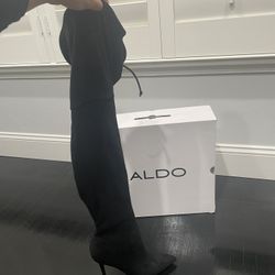 ALDO Boots