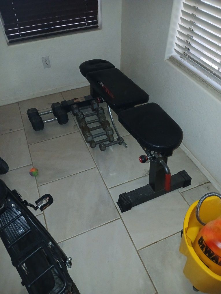 Bench & Weights