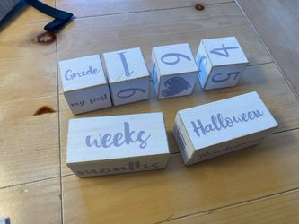 Baby Milestone Blocks – Great for Monthly Photos