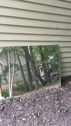 Free mirror 54x36