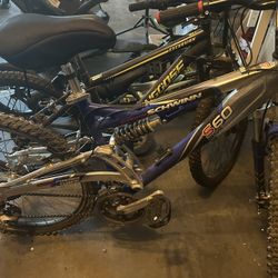 Amazing Schwinn Bike