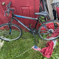  Roadrunner Bike, $45 , 7/10 Condition, Rusty, Tires Need Some Air . 