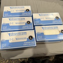 5 Boxes Disposable Vinyl Gloves,Powder-Free Plastic Gloves 100 Per Box