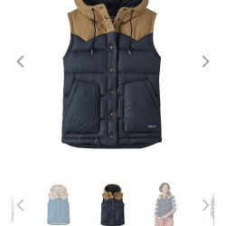 Patagonia Hooded Vest