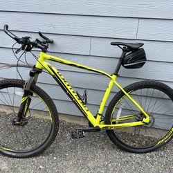 Specialized Mountain Bike 